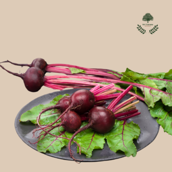 Beetroot