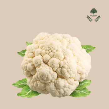 CAULIFLOWER 1pcs
