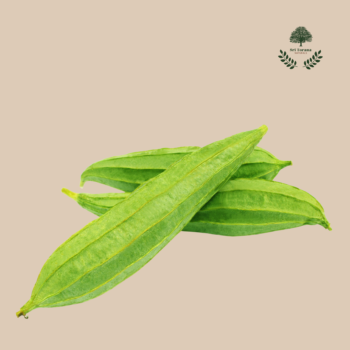 Ridge Gourd