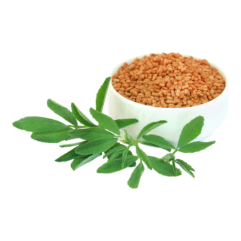 Methi