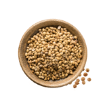 Roasted Coriander Seeds
