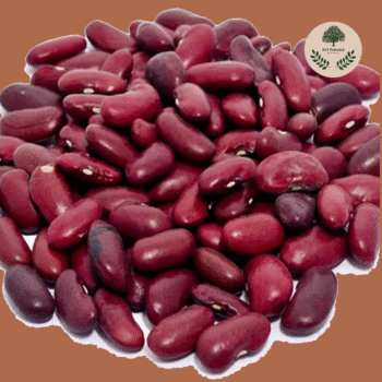 Soya Rajma