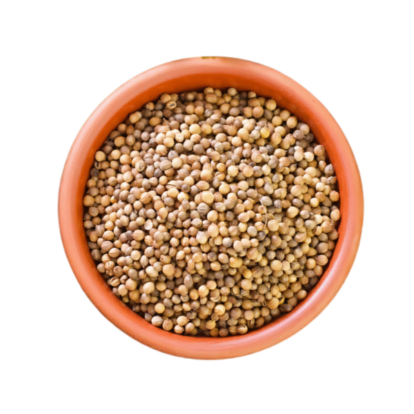Coriander