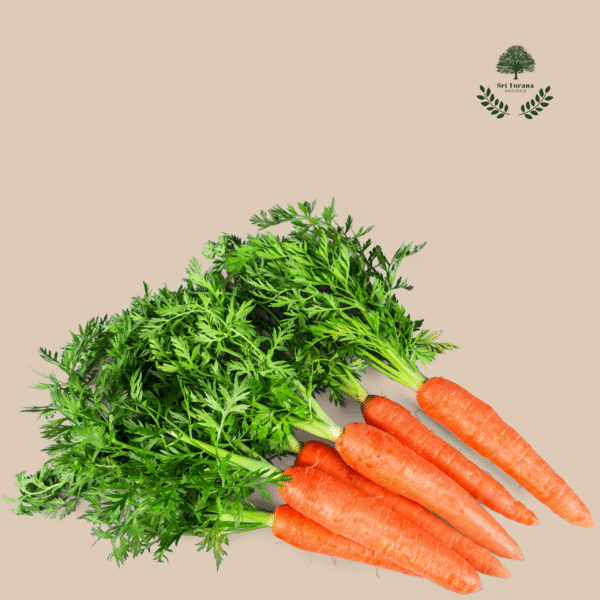 Carrot