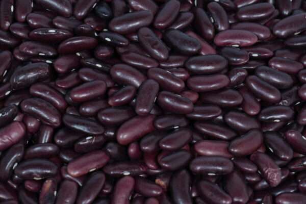 Red Rajma - Image 2