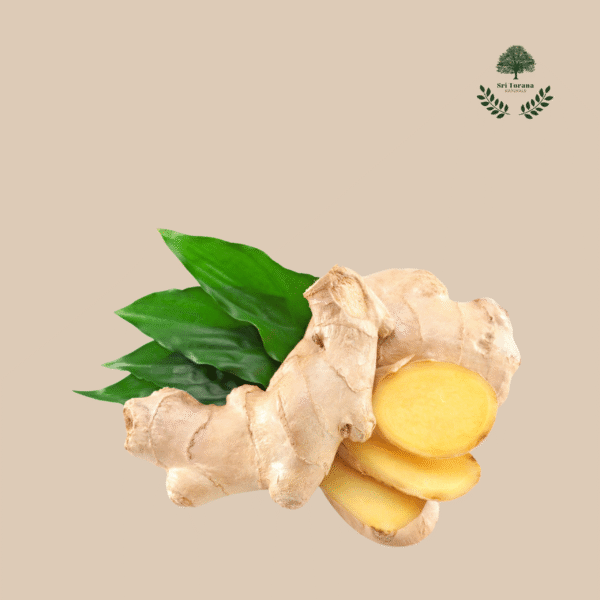 GINGER