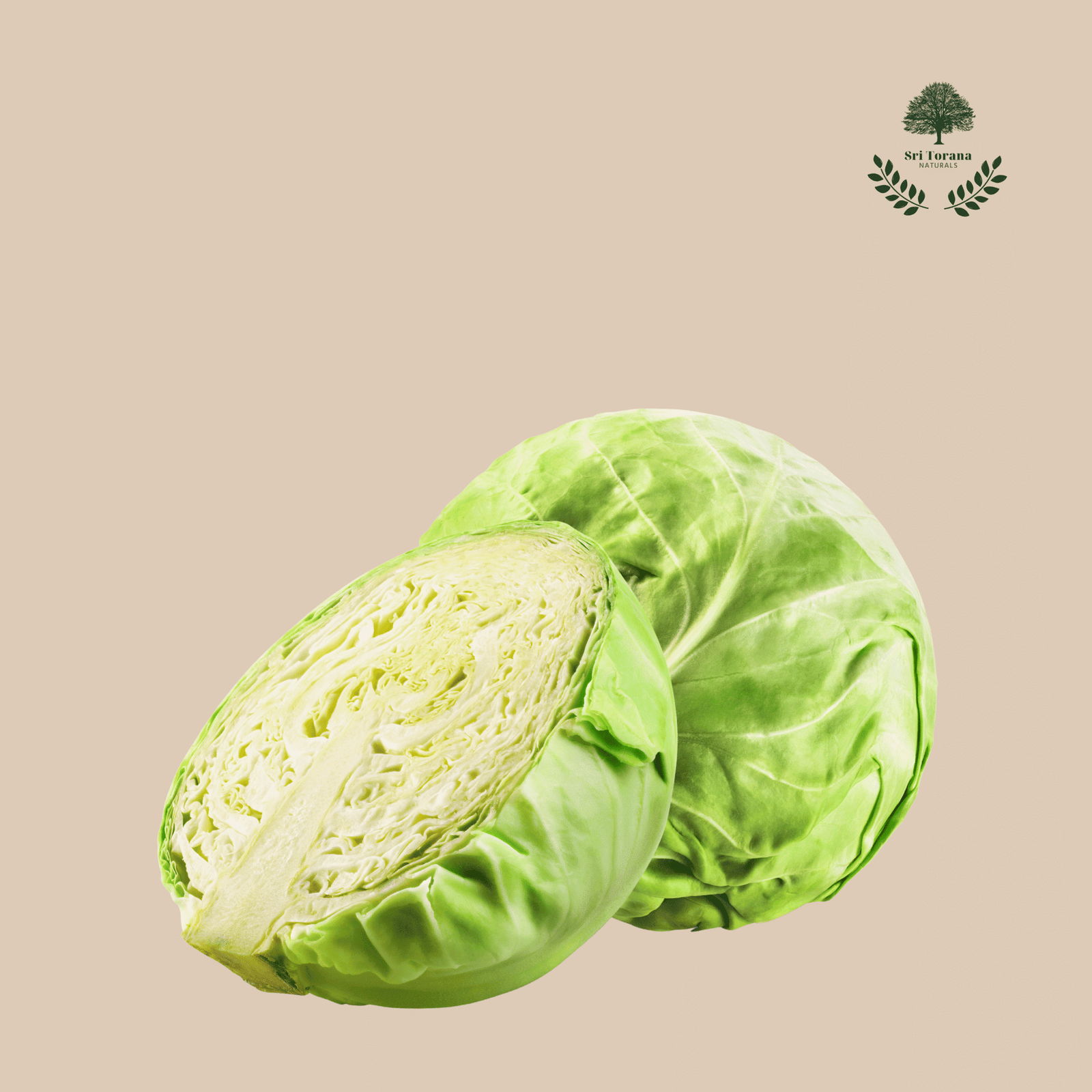 CABBAGE 1pcs
