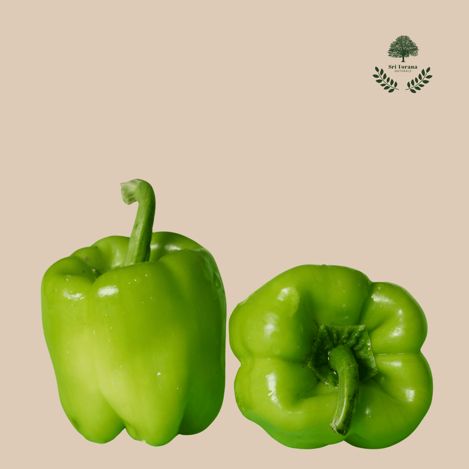 Capsicum