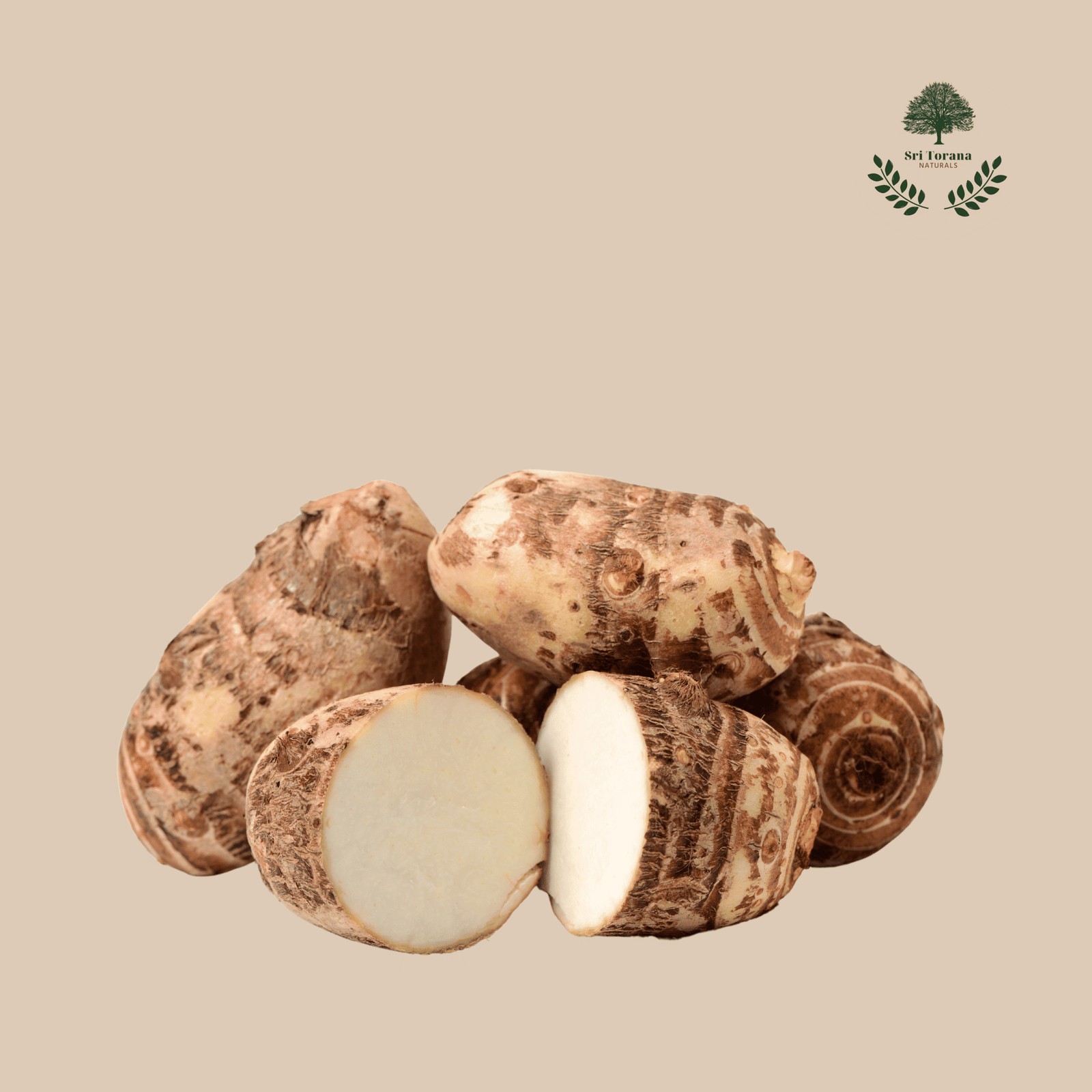 Colocasia or Taro Root