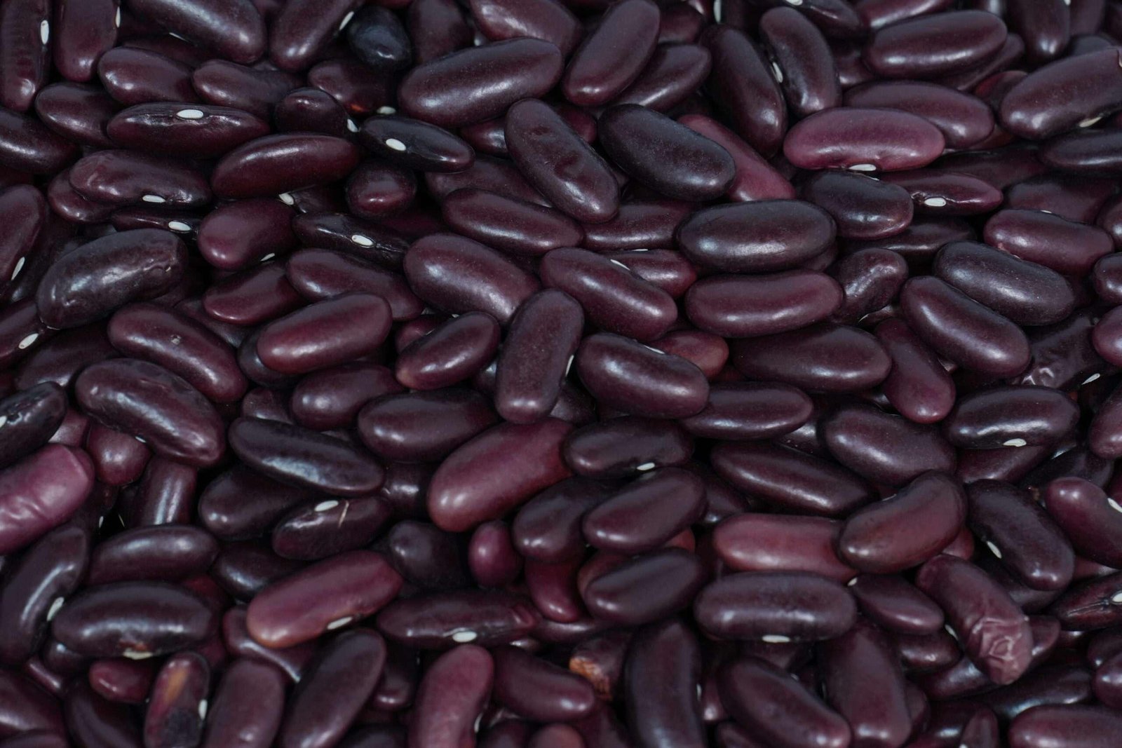 Red Rajma - Image 2